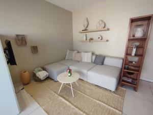 Cannes Palm Beach Parking, clim, wifi plage 2 à pieds