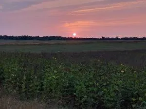 Ferienhaus Jamshidi - Warenshof