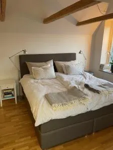 Villa i Bunkeflostrand - 赫尔湾