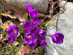 La Souste appartement avec jardin privatif