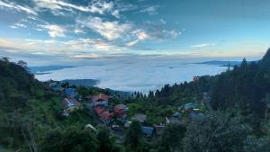 Dumfu Homestay