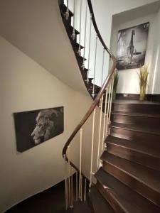 Appartements Le Duplex Safari : photos des chambres