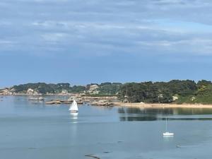 Maison de vacances 3 étoiles avec jardin à Trégastel, proche plage - FR-1-542-62