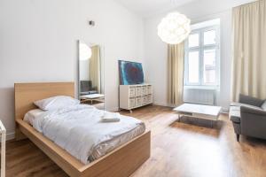 Plac Wolności Comfort Apartment