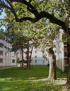 Appartements Le Rocher du Lac : photos des chambres