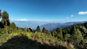 Dumfu Homestay