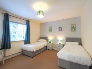 Golygfa Mor Tresaith