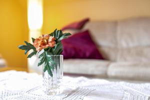 Haus Anita - Ferienwohnung Og