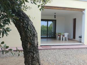 Sunny House img11