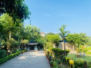 Eco Adventure Resort
