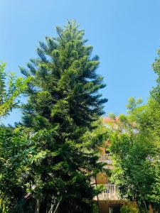 Eco Adventure Resort