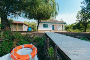 Pike Out Delta Dunarii