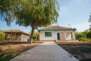 Pike Out Delta Dunarii