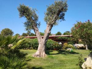 La Casa del Mirto img36