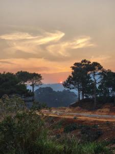 Xóm nhà lá homestay