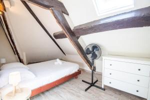 Appartements La Serpe du Vieux Tours : photos des chambres