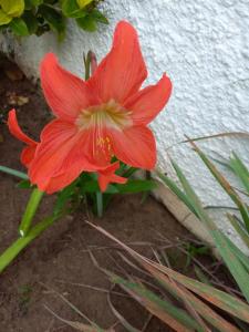 Itaúna saquarema beach house