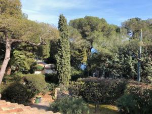 Villas Villa de Charme au coeur du Cap-Ferrat : photos des chambres