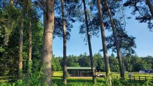 The Retreat 1 bed cabin in the woods - 马舍姆