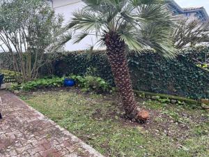 Appartement Royan avec Terrasse en Bord de Mer - FR-1-494-172