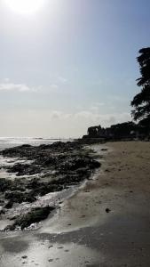 Appartement cosy, vue sur parc, 3 mins plage Benoit