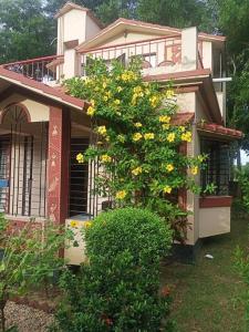 ARANYAK Homestay