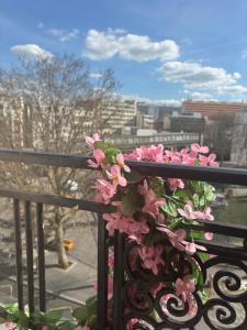 Auberges de jeunesse Peace & Love Hostel : photos des chambres