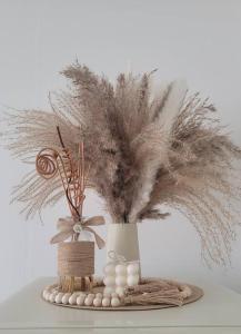 Potato apartment nearby downtown, no parking, 4th floor, no elevator, pets allowed