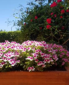 Ginevra Casa Vacanze