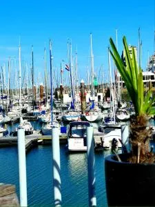 zeezicht breskens scaldis minimaal 3 overnachtingen - Kruisdijk