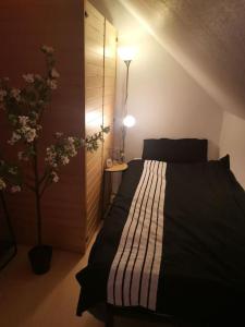 Wohnung am Kurpark mit privater Innensauna & LED! Schlüsselbox