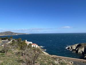 Appartements Appartement 2 pieces avec terrasse, 4 couchages, parking, acces wifi - Banyuls-sur-Mer - FR-1-225C-139 : photos des chambres