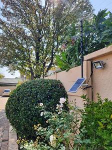 Cozy Apartment with private Garden