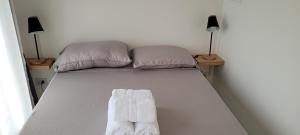 Cazón Containers - Módulo Lagarto