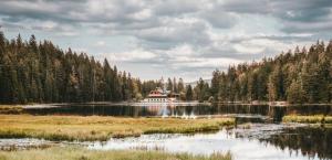 Ferienwohnung am Seebach´l