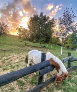 Fruškogorska Lugarnica