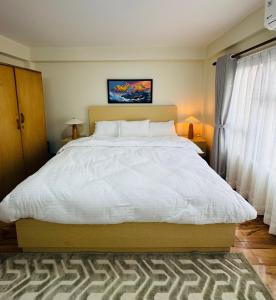 Ivanna apartments patan