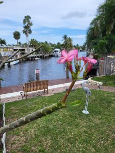 Purely Pompano, Pool, Water front, Paddleboard, Beach, 5 bedroom 3 bath