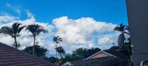 Three Little Birds Guesthouse