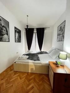 Central & Cozy by Danailov Apartments