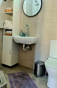 olive house cozy studio