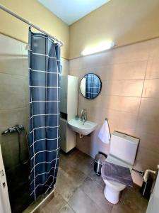 olive house cozy studio