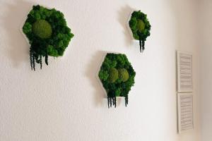 Apartment mit Weitblick