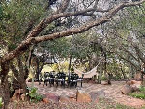 Rockey Mountain Bush lodge