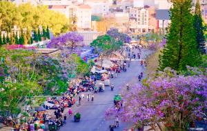 Tường Vy Dalat Central