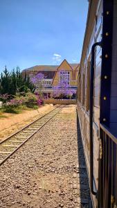 Tường Vy Dalat Central