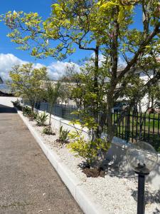 One-Bedroom Apartment with Garden View