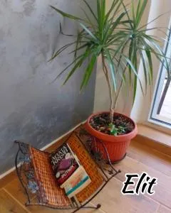 Apartman ELIT Srebrno jezero - Divici