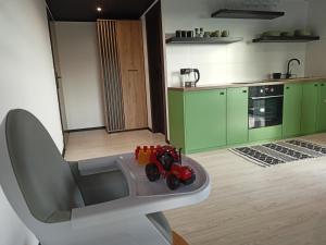 Agroturystyka "Apartament na wsi" Bory Tucholskie