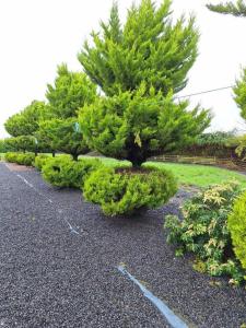 Welcome to Tunmobi Villa, its home away from home.